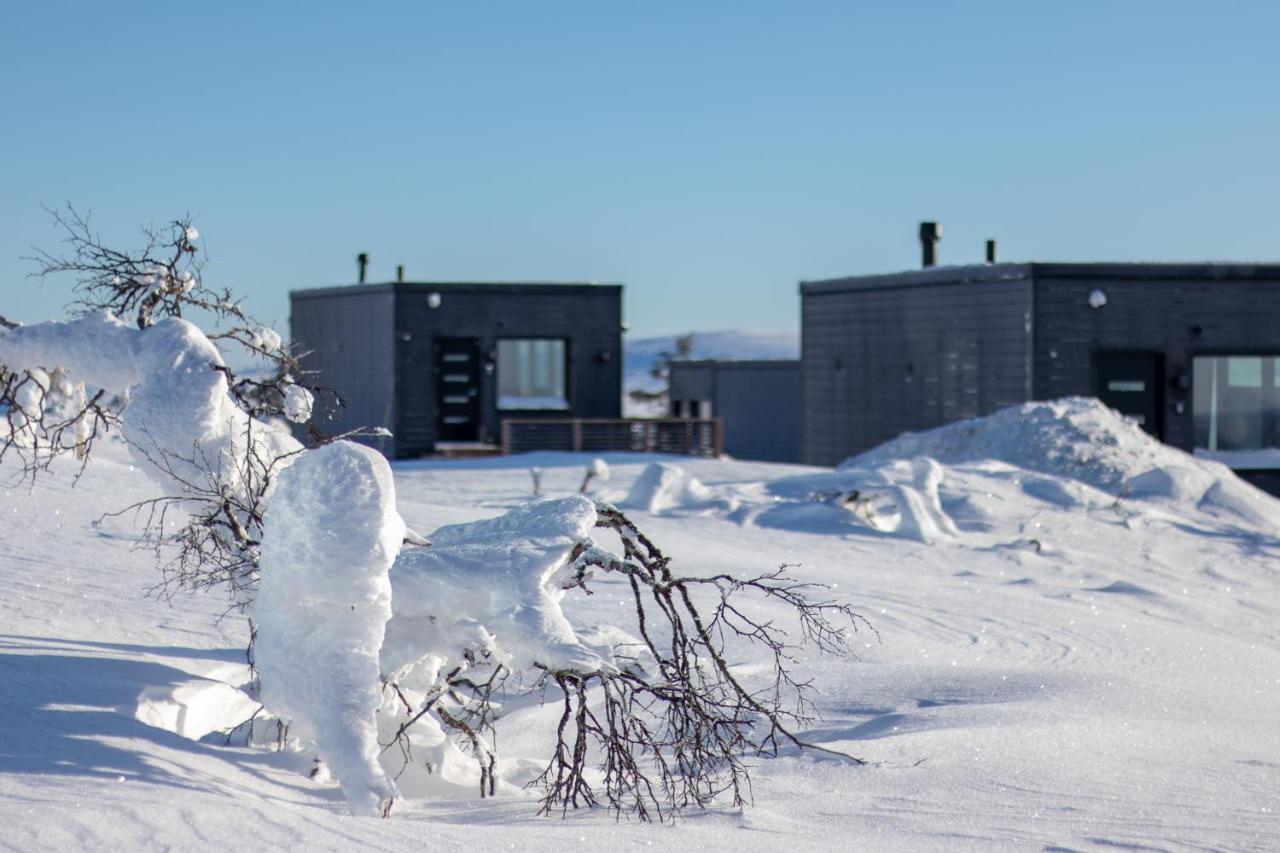 Top Star Saariselkae - Arctic Glass Cubes Luaran gambar